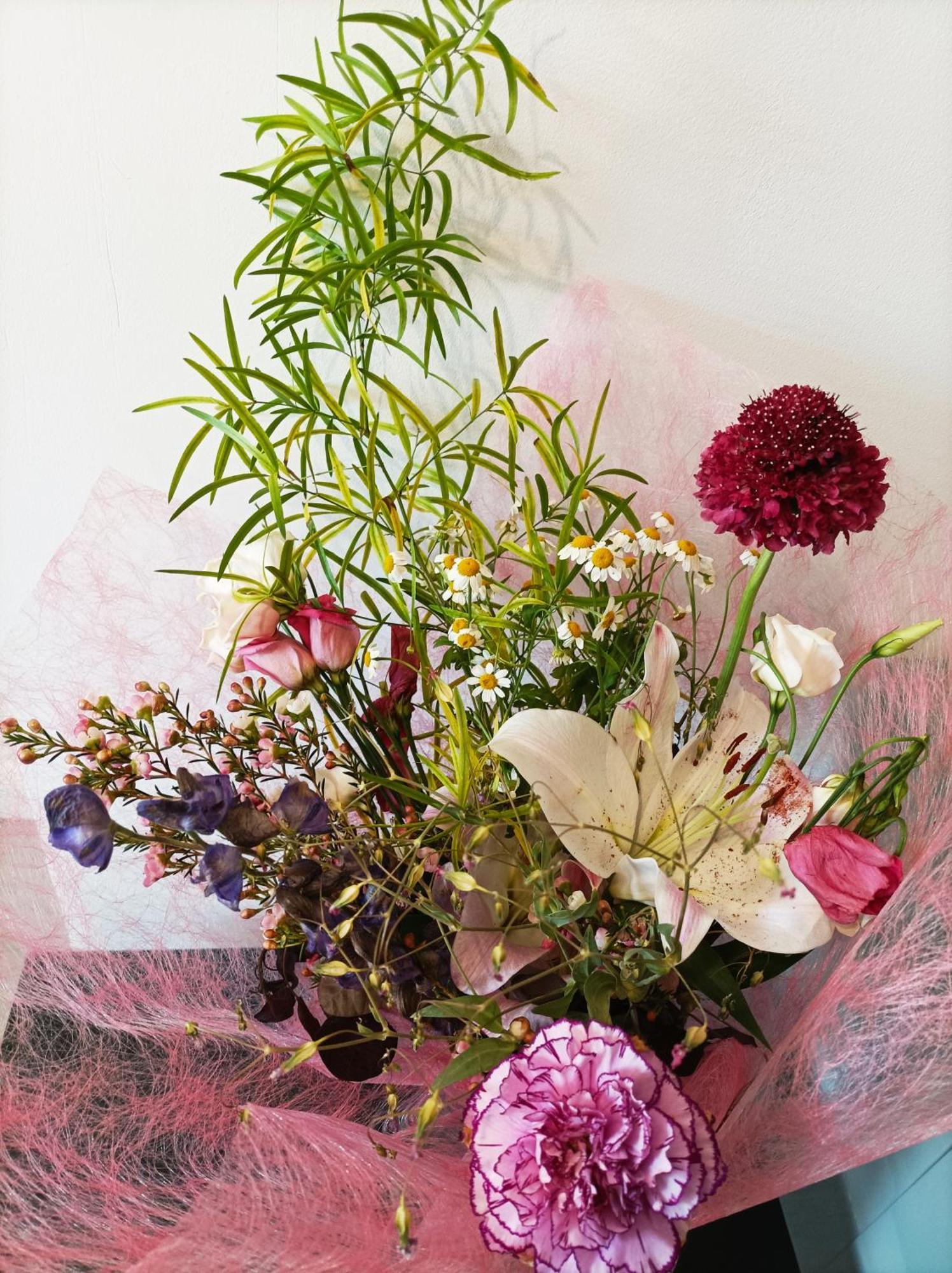 شقة Panoramique Floral Centre Festival Photo لا غاسييي المظهر الخارجي الصورة
